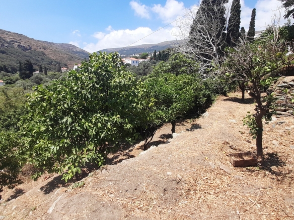 Στενιές. Οικόπεδο 232 m2 οικοδομήσιμο με οπωροφόρα δένδρα και ποτιστικό νερό