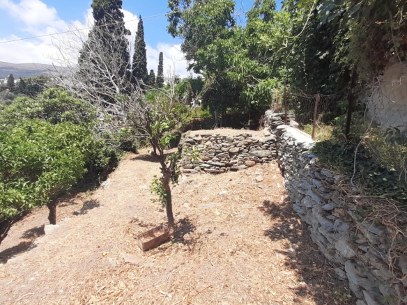 Στενιές. Οικόπεδο 232 m2 οικοδομήσιμο με οπωροφόρα δένδρα και ποτιστικό νερό