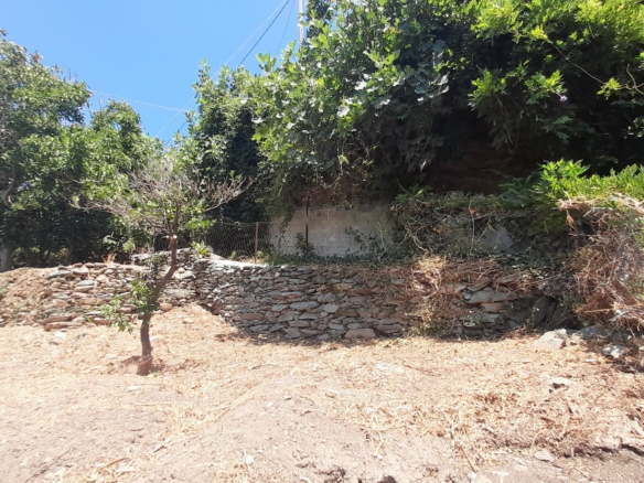 Στενιές. Οικόπεδο 232 m2 οικοδομήσιμο με οπωροφόρα δένδρα και ποτιστικό νερό