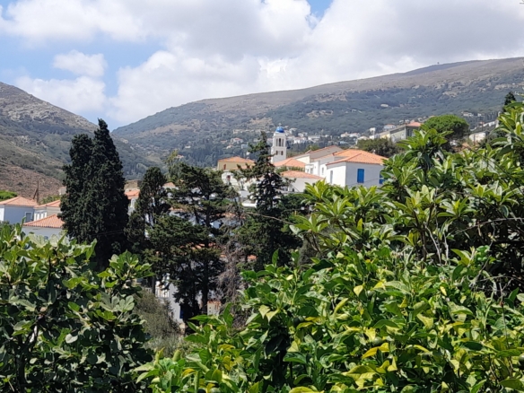 Στενιές. Οικόπεδο 232 m2 οικοδομήσιμο με οπωροφόρα δένδρα και ποτιστικό νερό
