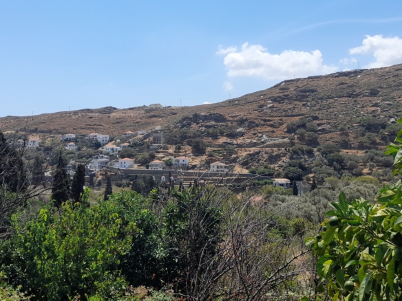 Στενιές. Οικόπεδο 232 m2 οικοδομήσιμο με οπωροφόρα δένδρα και ποτιστικό νερό