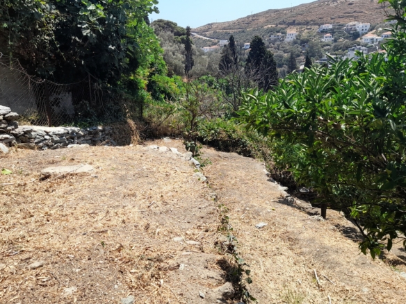 Στενιές. Οικόπεδο 232 m2 οικοδομήσιμο με οπωροφόρα δένδρα και ποτιστικό νερό