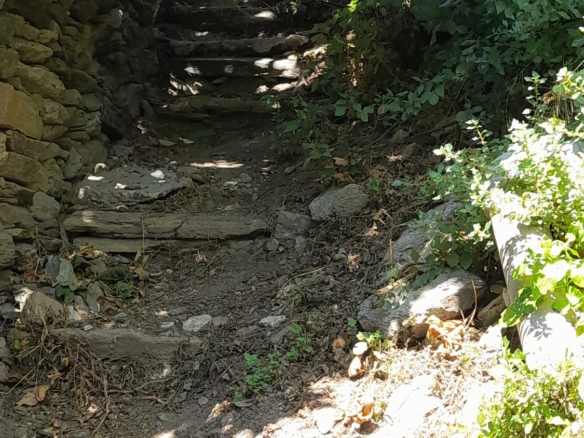 Στενιές. Οικόπεδο 232 m2 οικοδομήσιμο με οπωροφόρα δένδρα και ποτιστικό νερό