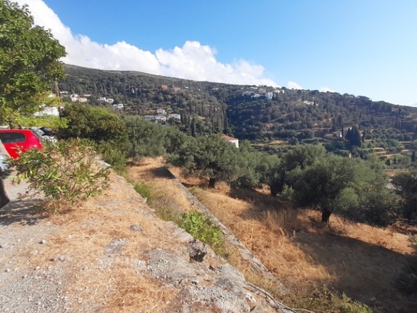Χώρα Άνδρου-Μένητες. Οικόπεδο οικοδομήσιμο εμβαδού 1531,16 m2 με ωραία θέα θάλασσα και 18 ελαιόδενδρα.