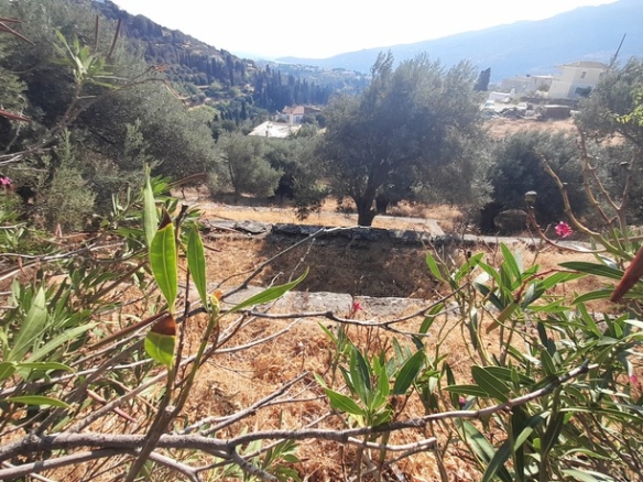 Χώρα Άνδρου-Μένητες. Οικόπεδο οικοδομήσιμο εμβαδού 1531,16 m2 με ωραία θέα θάλασσα και 18 ελαιόδενδρα.