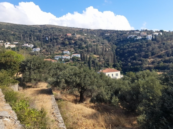 Χώρα Άνδρου-Μένητες. Οικόπεδο οικοδομήσιμο εμβαδού 1531,16 m2 με ωραία θέα θάλασσα και 18 ελαιόδενδρα.