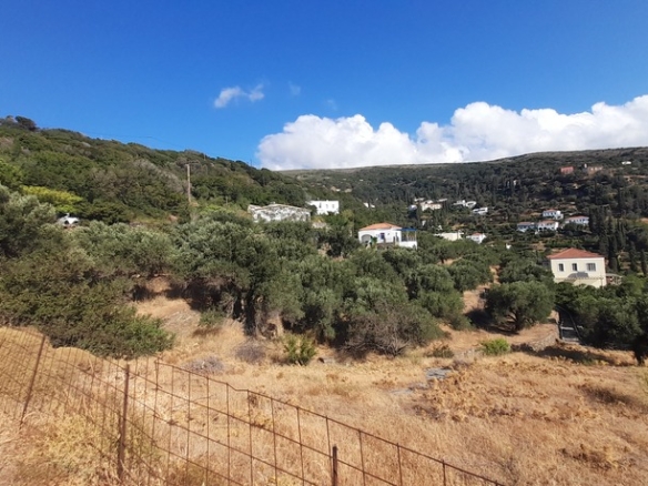 Χώρα Άνδρου-Μένητες. Οικόπεδο οικοδομήσιμο εμβαδού 1531,16 m2 με ωραία θέα θάλασσα και 18 ελαιόδενδρα.