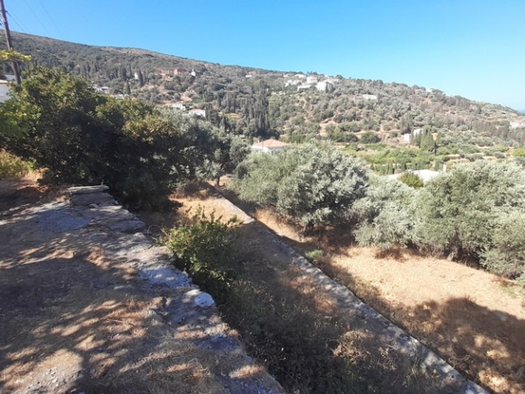 Χώρα Άνδρου-Μένητες. Οικόπεδο οικοδομήσιμο εμβαδού 1531,16 m2 με ωραία θέα θάλασσα και 18 ελαιόδενδρα.