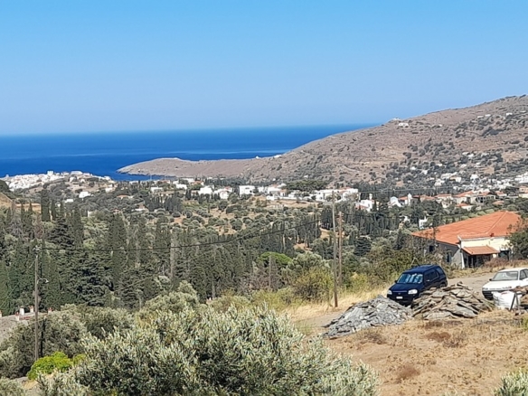 Χώρα Άνδρου-Μένητες. Οικόπεδο οικοδομήσιμο εμβαδού 1531,16 m2 με ωραία θέα θάλασσα και 18 ελαιόδενδρα.