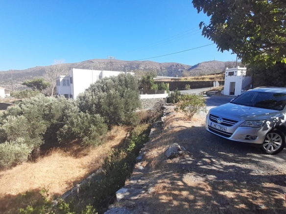 Χώρα Άνδρου-Μένητες. Οικόπεδο οικοδομήσιμο εμβαδού 1531,16 m2 με ωραία θέα θάλασσα και 18 ελαιόδενδρα.