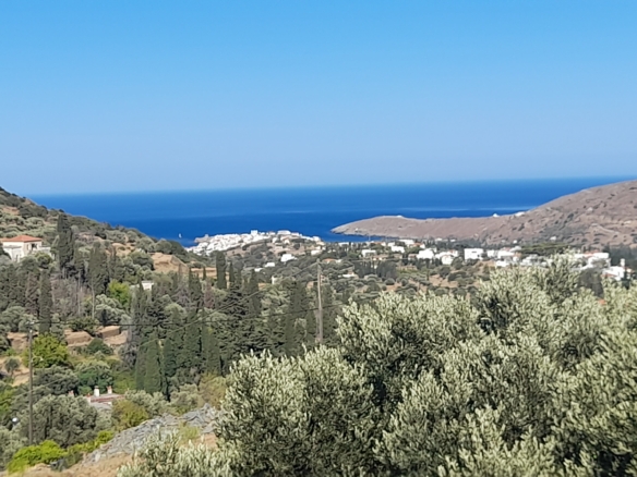 Χώρα Άνδρου-Μένητες. Οικόπεδο οικοδομήσιμο εμβαδού 1531,16 m2 με ωραία θέα θάλασσα και 18 ελαιόδενδρα.