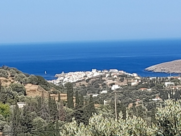 Χώρα Άνδρου-Μένητες. Οικόπεδο οικοδομήσιμο εμβαδού 1531,16 m2 με ωραία θέα θάλασσα και 18 ελαιόδενδρα.