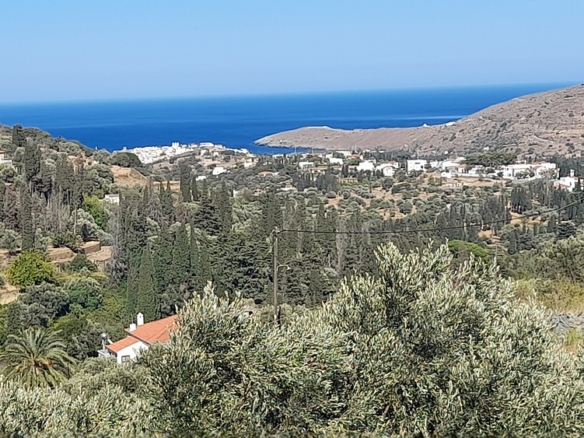 Χώρα Άνδρου-Μένητες. Οικόπεδο οικοδομήσιμο εμβαδού 1531,16 m2 με ωραία θέα θάλασσα και 18 ελαιόδενδρα.