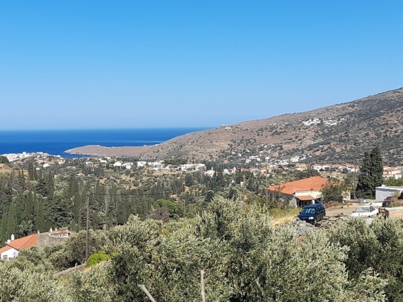 Χώρα Άνδρου-Μένητες. Οικόπεδο οικοδομήσιμο εμβαδού 1531,16 m2 με ωραία θέα θάλασσα και 18 ελαιόδενδρα.