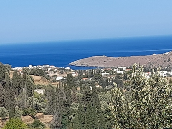 Χώρα Άνδρου-Μένητες. Οικόπεδο οικοδομήσιμο εμβαδού 1531,16 m2 με ωραία θέα θάλασσα και 18 ελαιόδενδρα.