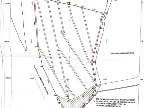 TOPO GIA SITE