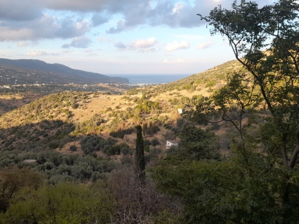 Φάλλικα. Οικόπεδο 140 m2 οικοδομήσιμο με πέτρινη αγροτική κατοικία 45 m2