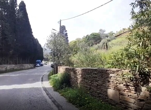 Χώρα Άνδρος προς Λιβάδια. 5.744,18 m2 Οικοδομήσιμο Αγροτεμάχιο με Ελαιώνα και κελί 25 m2.