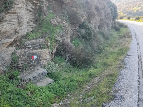 Στο δρόμο Μεσαριά-Φάλλικα. Αγροτεμάχιο 5.702 m2 οικοδομήσιμο με ελιές.