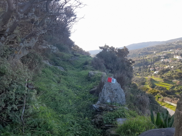 Στο δρόμο Μεσαριά-Φάλλικα. Αγροτεμάχιο 5.702 m2 οικοδομήσιμο με ελιές.