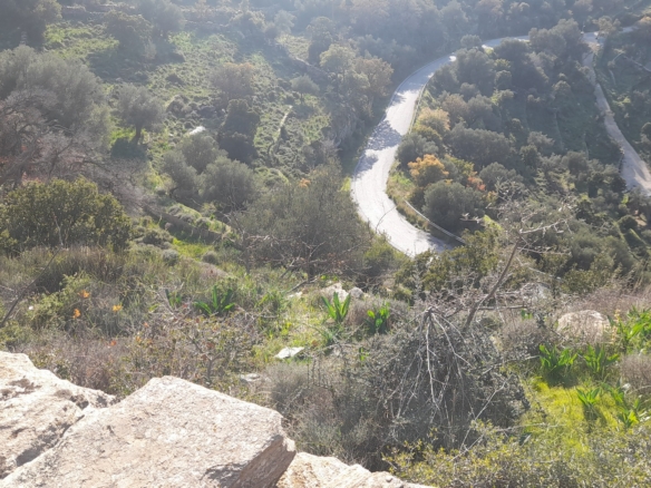 Στο δρόμο Μεσαριά-Φάλλικα. Αγροτεμάχιο 5.702 m2 οικοδομήσιμο με ελιές.