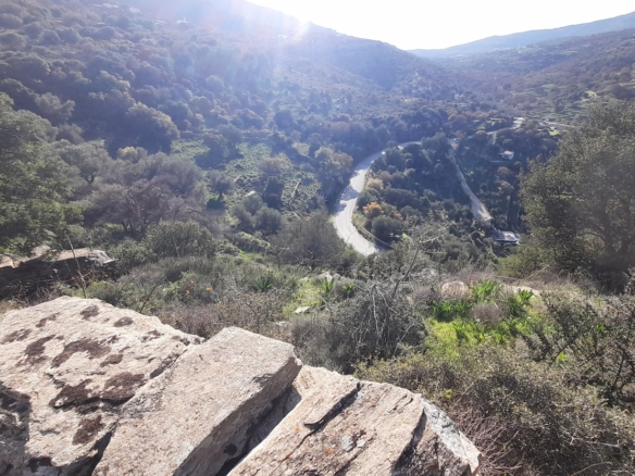 Στο δρόμο Μεσαριά-Φάλλικα. Αγροτεμάχιο 5.702 m2 οικοδομήσιμο με ελιές.