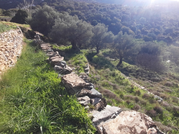 Στο δρόμο Μεσαριά-Φάλλικα. Αγροτεμάχιο 5.702 m2 οικοδομήσιμο με ελιές.