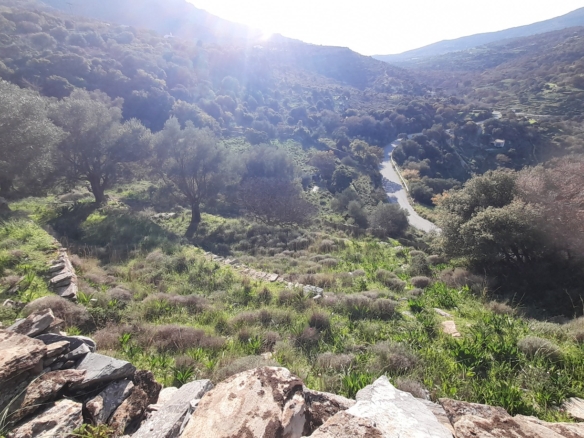 Στο δρόμο Μεσαριά-Φάλλικα. Αγροτεμάχιο 5.702 m2 οικοδομήσιμο με ελιές.