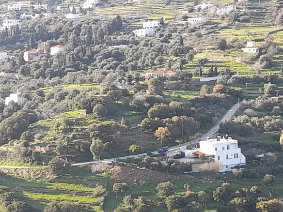 Στο δρόμο Μεσαριά-Φάλλικα. Αγροτεμάχιο 5.702 m2 οικοδομήσιμο με ελιές.