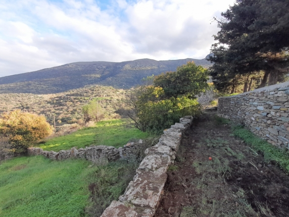 ΑΝΔΡΟΣ-ΜΕΣΑΡΙΑ. Οικόπεδο ΕΝΤΟΣ οικισμού 2.300 m2 επί επαρχιακής οδού.