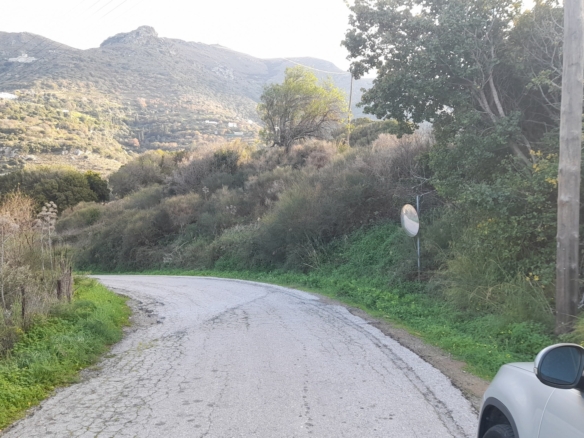 ΑΝΔΡΟΣ-ΜΕΣΑΡΙΑ. Οικόπεδο ΕΝΤΟΣ οικισμού 2.300 m2 επί επαρχιακής οδού.