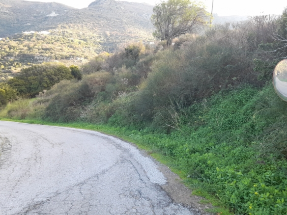 ΑΝΔΡΟΣ-ΜΕΣΑΡΙΑ. Οικόπεδο ΕΝΤΟΣ οικισμού 2.300 m2 επί επαρχιακής οδού.