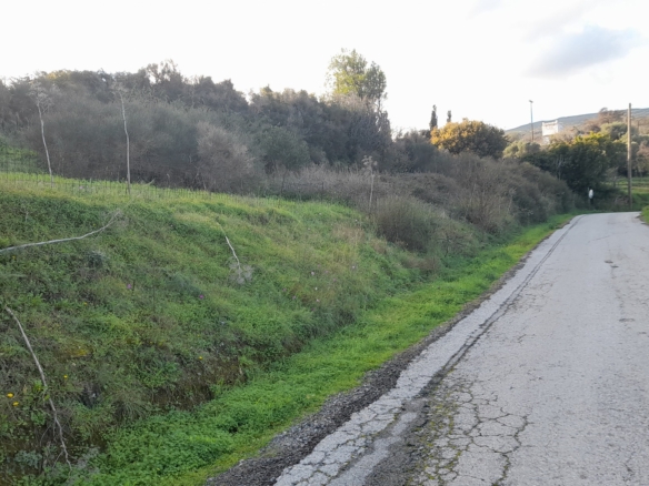 ΑΝΔΡΟΣ-ΜΕΣΑΡΙΑ. Οικόπεδο ΕΝΤΟΣ οικισμού 2.300 m2 επί επαρχιακής οδού.
