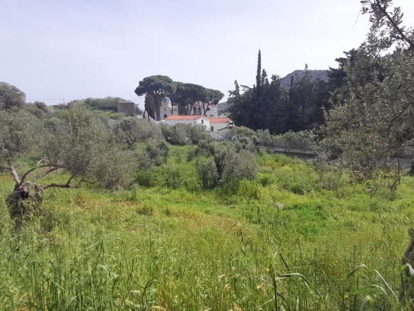 Χώρα Άνδρος προς Λιβάδια. 5.744,18 m2 Οικοδομήσιμο Αγροτεμάχιο με Ελαιώνα και κελί 25 m2.