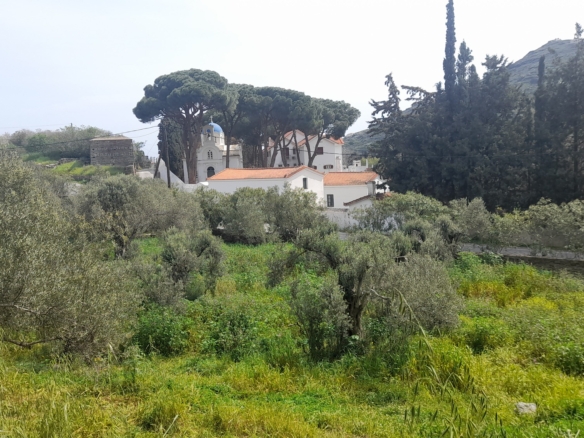 Χώρα Άνδρος προς Λιβάδια. 5.744,18 m2 Οικοδομήσιμο Αγροτεμάχιο με Ελαιώνα και κελί 25 m2.