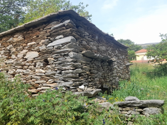 Χώρα Άνδρος προς Λιβάδια. 5.744,18 m2 Οικοδομήσιμο Αγροτεμάχιο με Ελαιώνα και κελί 25 m2.