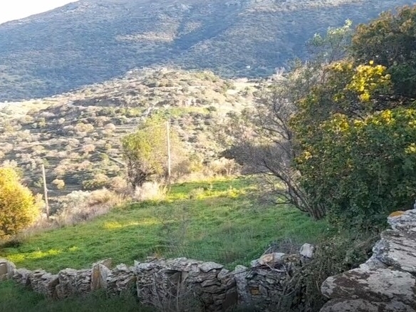 ΑΝΔΡΟΣ-ΜΕΣΑΡΙΑ. Οικόπεδο ΕΝΤΟΣ οικισμού 2.300 m2 επί επαρχιακής οδού.