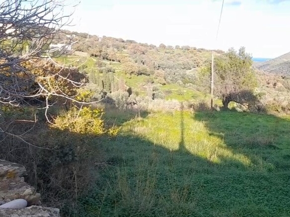 ΑΝΔΡΟΣ-ΜΕΣΑΡΙΑ. Οικόπεδο ΕΝΤΟΣ οικισμού 2.300 m2 επί επαρχιακής οδού.
