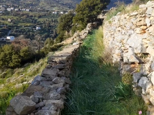 Στο δρόμο Μεσαριά-Φάλλικα. Αγροτεμάχιο 5.702 m2 οικοδομήσιμο με ελιές.