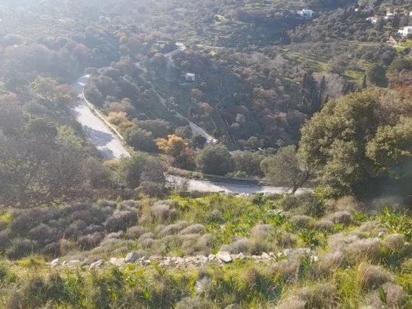 Στο δρόμο Μεσαριά-Φάλλικα. Αγροτεμάχιο 5.702 m2 οικοδομήσιμο με ελιές.