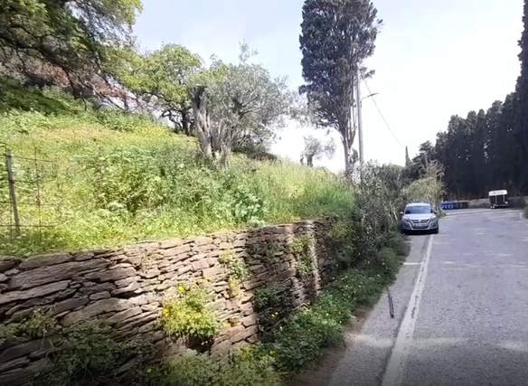 Χώρα Άνδρος προς Λιβάδια. 5.744,18 m2 Οικοδομήσιμο Αγροτεμάχιο με Ελαιώνα και κελί 25 m2.