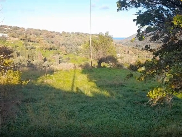 ΑΝΔΡΟΣ-ΜΕΣΑΡΙΑ. Οικόπεδο ΕΝΤΟΣ οικισμού 2.300 m2 επί επαρχιακής οδού.