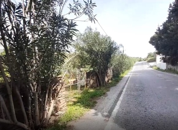 Χώρα Άνδρος προς Λιβάδια. 5.744,18 m2 Οικοδομήσιμο Αγροτεμάχιο με Ελαιώνα και κελί 25 m2.