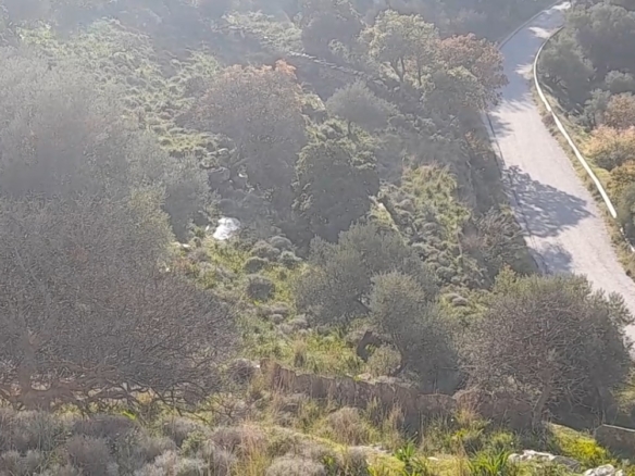 Στο δρόμο Μεσαριά-Φάλλικα. Αγροτεμάχιο 5.702 m2 οικοδομήσιμο με ελιές.