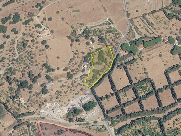 Chora Andros to Livadia. 5,744.18 m2 Buildable Plot with Olive Grove & “keli” 25 m2.