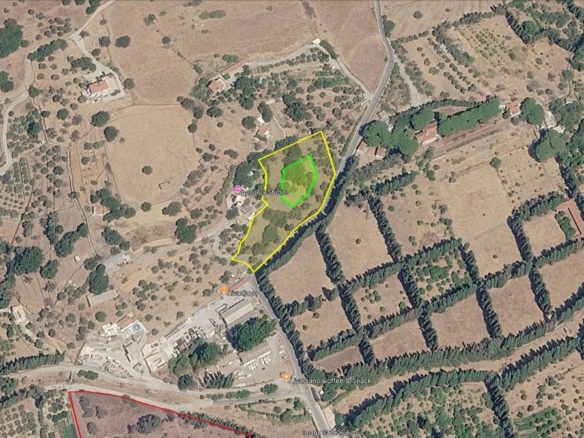Χώρα Άνδρος προς Λιβάδια. 5.744,18 m2 Οικοδομήσιμο Αγροτεμάχιο με Ελαιώνα και κελί 25 m2.
