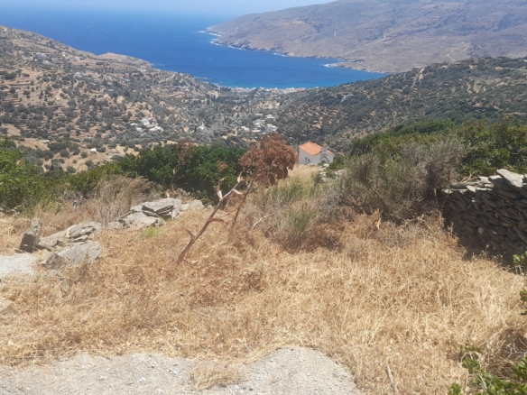 Οικοδομήσιμο 4.035,09 m2 με Ισχύουσα Οικοδομική Άδεια στη Λαρδιά Κορθίου Άνδρου.