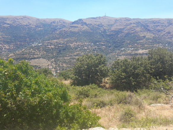 Μεσαριά. Οικόπεδο άρτιο και οικοδομήσιμο 1.179,69 m2, κτίζονται έως 400 m2 κατοικίες.