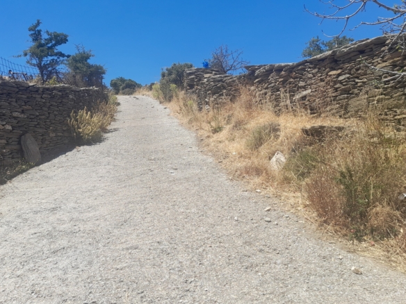Αγροτεμάχιο 10.042 m2 με Πανοραμική Θέα στη Θάλασσα και στη Χώρα Άνδρου.